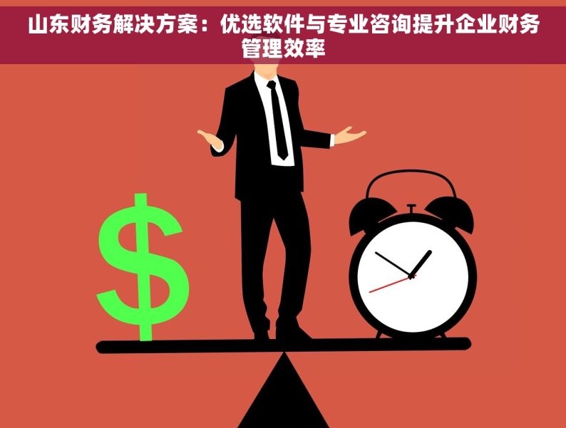 山东财务解决方案：优选软件与专业咨询提升企业财务管理效率