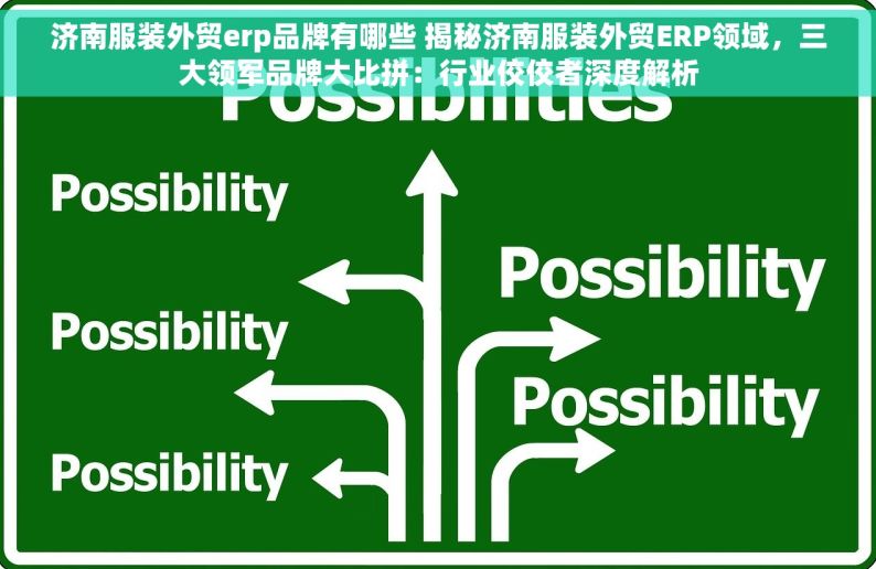 济南服装外贸erp品牌有哪些 揭秘济南服装外贸ERP领域，三大领军品牌大比拼：行业佼佼者深度解析