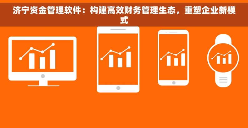 济宁资金管理软件：构建高效财务管理生态，重塑企业新模式