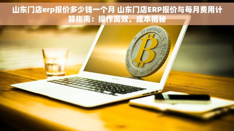 山东门店erp报价多少钱一个月 山东门店ERP报价与每月费用计算指南：操作高效，成本揭秘