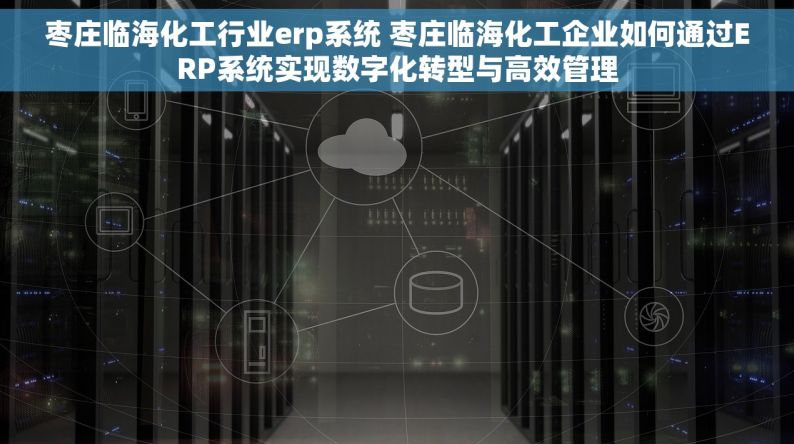 枣庄临海化工行业erp系统 枣庄临海化工企业如何通过ERP系统实现数字化转型与高效管理