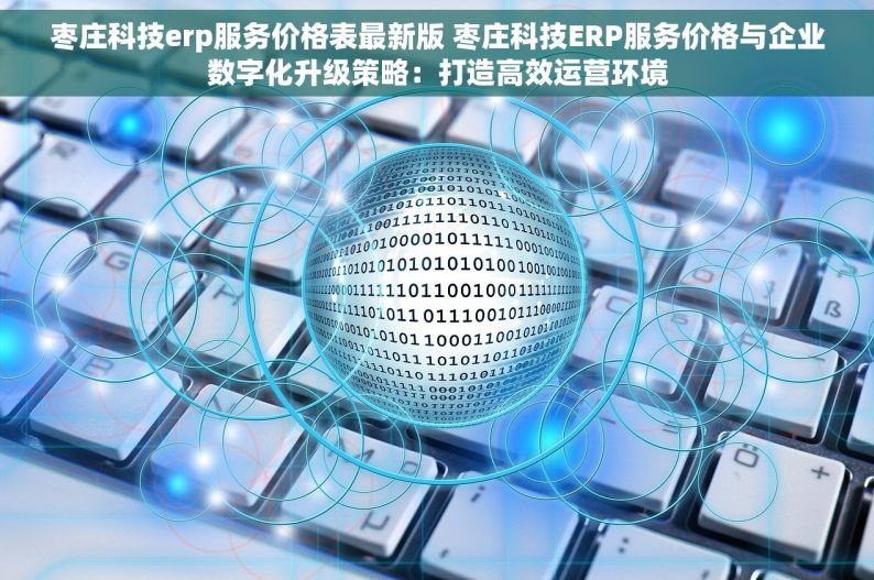 枣庄科技erp服务价格表最新版 枣庄科技ERP服务价格与企业数字化升级策略：打造高效运营环境