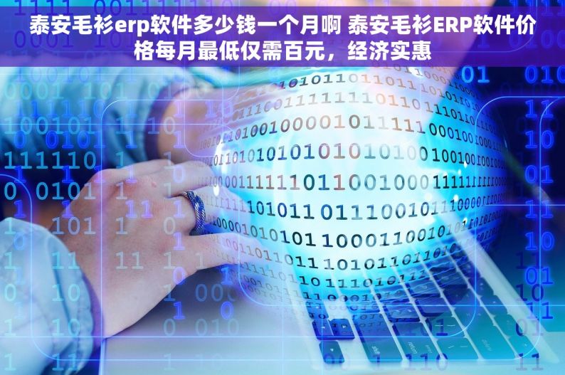 泰安毛衫erp软件多少钱一个月啊 泰安毛衫ERP软件价格每月最低仅需百元，经济实惠