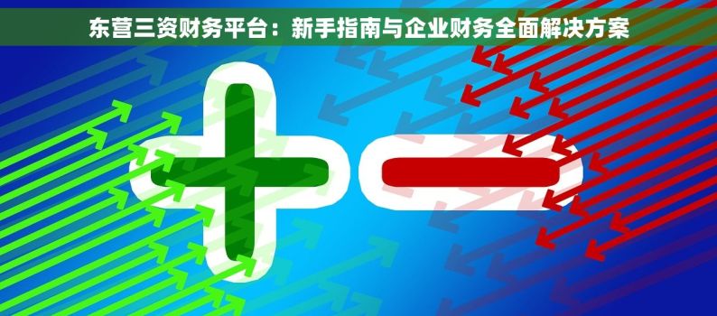 东营三资财务平台：新手指南与企业财务全面解决方案