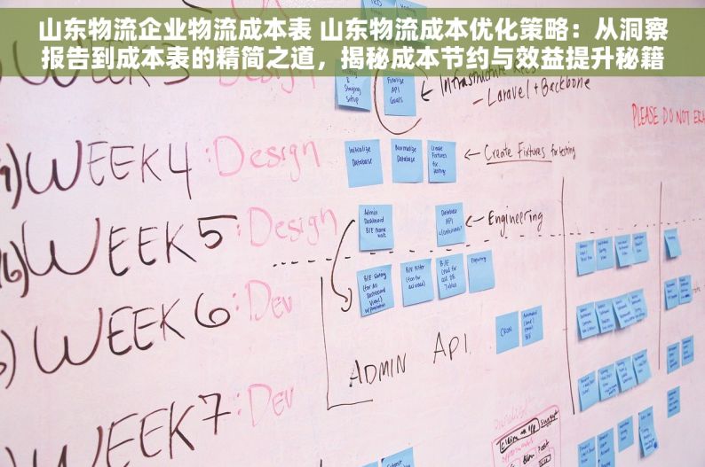 山东物流企业物流成本表 山东物流成本优化策略：从洞察报告到成本表的精简之道，揭秘成本节约与效益提升秘籍