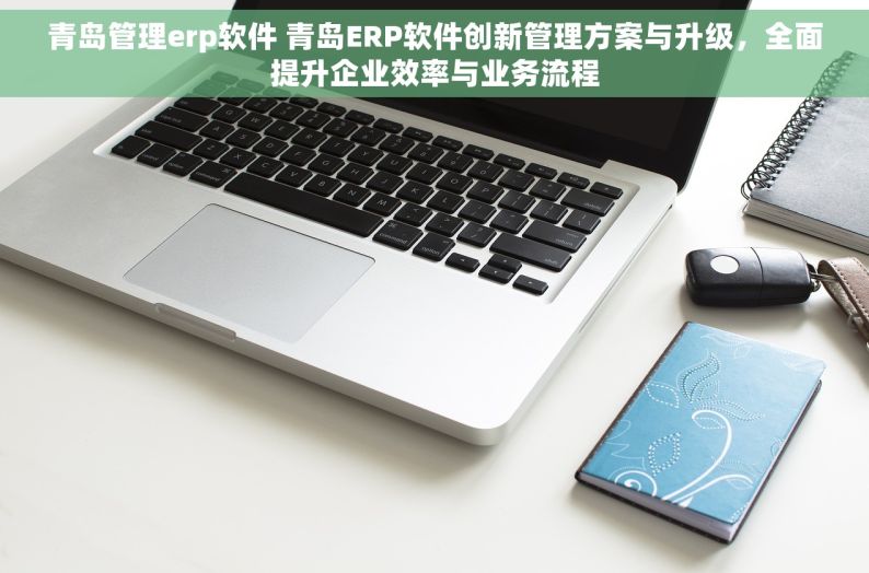 青岛管理erp软件 青岛ERP软件创新管理方案与升级，全面提升企业效率与业务流程