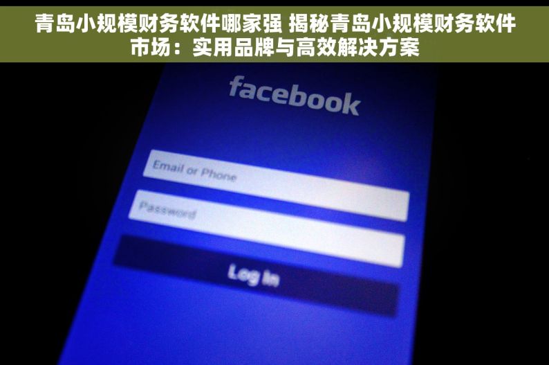 青岛小规模财务软件哪家强 揭秘青岛小规模财务软件市场：实用品牌与高效解决方案