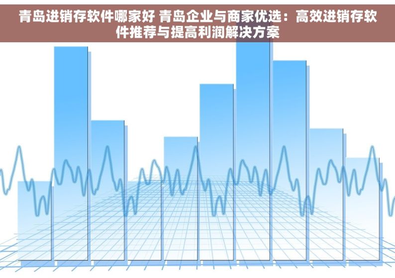 青岛进销存软件哪家好 青岛企业与商家优选：高效进销存软件推荐与提高利润解决方案