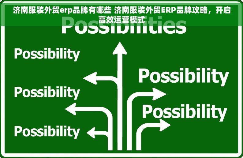 济南服装外贸erp品牌有哪些 济南服装外贸ERP品牌攻略，开启高效运营模式