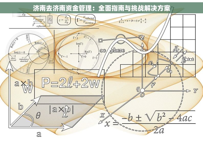 济南去济南资金管理：全面指南与挑战解决方案