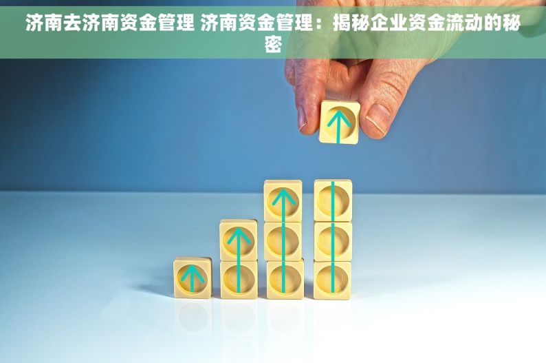 济南去济南资金管理 济南资金管理：揭秘企业资金流动的秘密