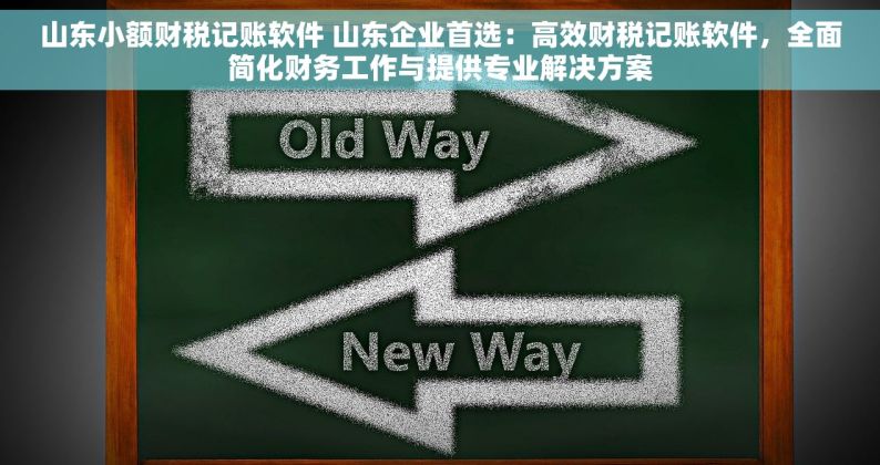 山东小额财税记账软件 山东企业首选：高效财税记账软件，全面简化财务工作与提供专业解决方案