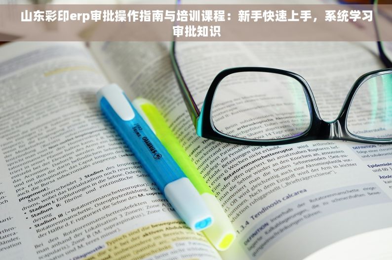 山东彩印erp审批操作指南与培训课程：新手快速上手，系统学习审批知识