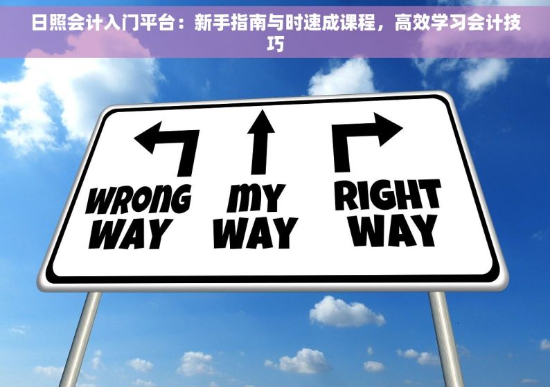 日照会计入门平台：新手指南与时速成课程，高效学习会计技巧