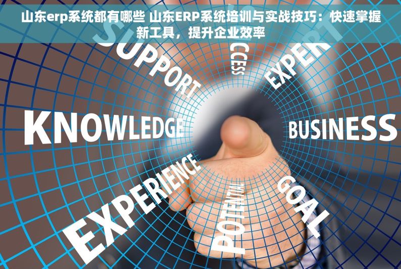 山东erp系统都有哪些 山东ERP系统培训与实战技巧：快速掌握新工具，提升企业效率