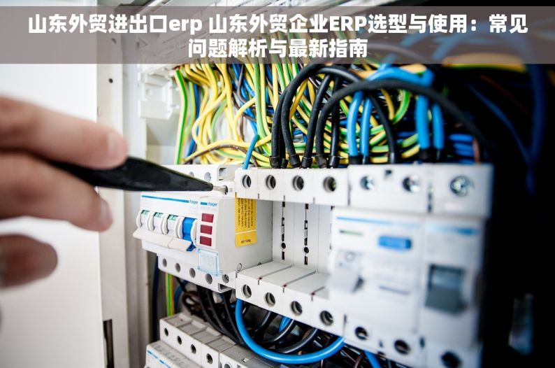 山东外贸进出口erp 山东外贸企业ERP选型与使用：常见问题解析与最新指南