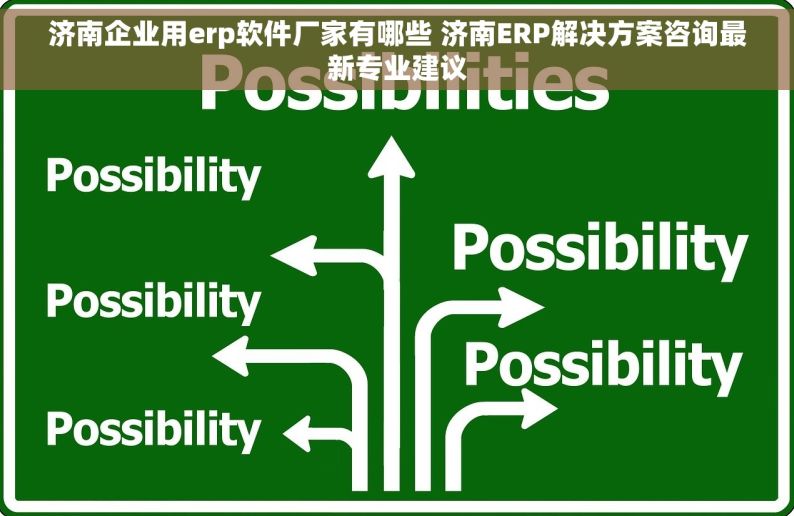 济南企业用erp软件厂家有哪些 济南ERP解决方案咨询最新专业建议