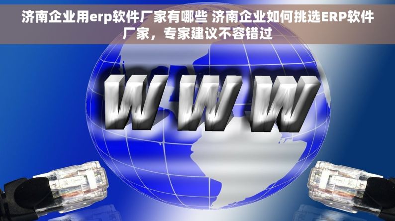 济南企业用erp软件厂家有哪些 济南企业如何挑选ERP软件厂家，专家建议不容错过