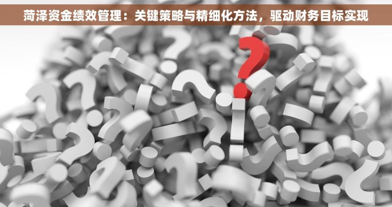 菏泽资金绩效管理：关键策略与精细化方法，驱动财务目标实现