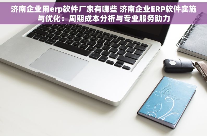 济南企业用erp软件厂家有哪些 济南企业ERP软件实施与优化：周期成本分析与专业服务助力