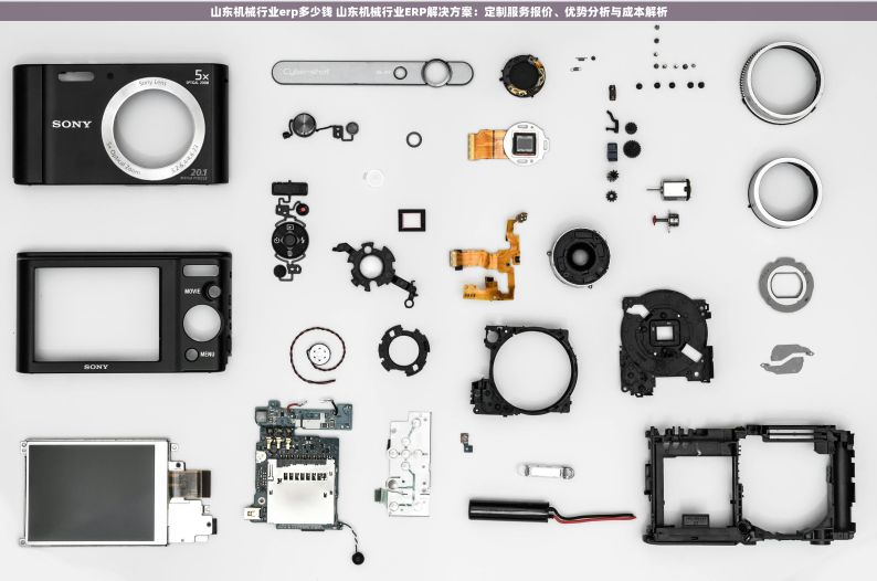 山东机械行业erp多少钱 山东机械行业ERP解决方案：定制服务报价、优势分析与成本解析