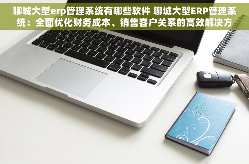 聊城大型erp管理系统有哪些软件 聊城大型ERP管理系统：全面优化财务成本、销售客户关系的高效解决方案