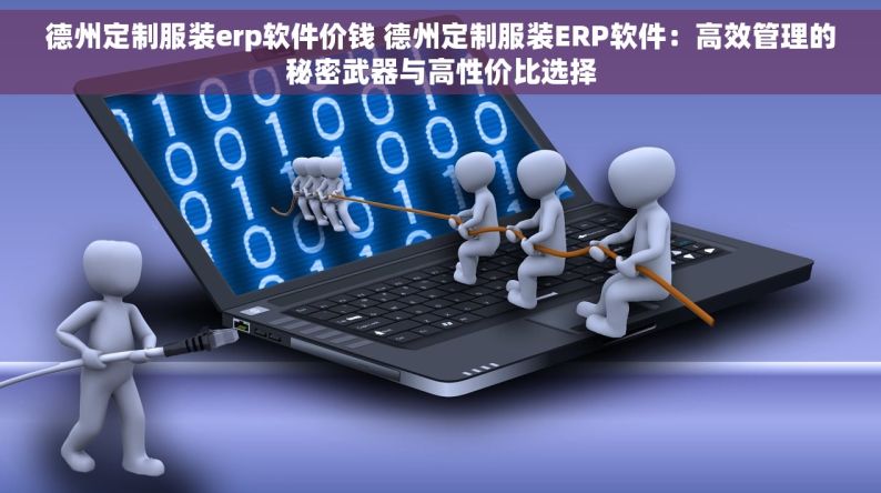 德州定制服装erp软件价钱 德州定制服装ERP软件：高效管理的秘密武器与高性价比选择