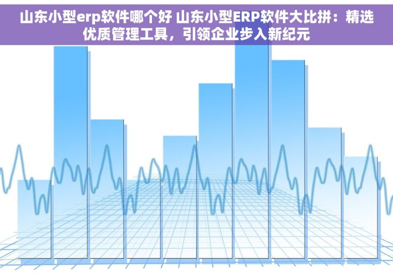 山东小型erp软件哪个好 山东小型ERP软件大比拼：精选优质管理工具，引领企业步入新纪元