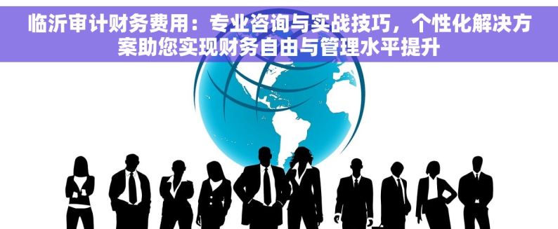 临沂审计财务费用：专业咨询与实战技巧，个性化解决方案助您实现财务自由与管理水平提升