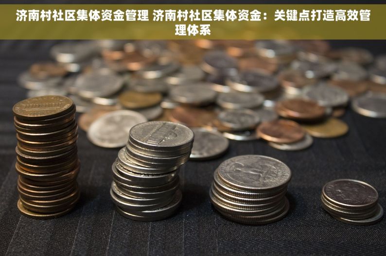 济南村社区集体资金管理 济南村社区集体资金：关键点打造高效管理体系