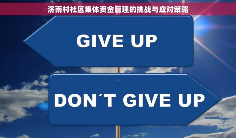 济南村社区集体资金管理的挑战与应对策略