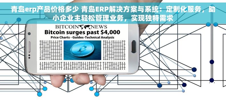 青岛erp产品价格多少 青岛ERP解决方案与系统：定制化服务，助小企业主轻松管理业务，实现独特需求