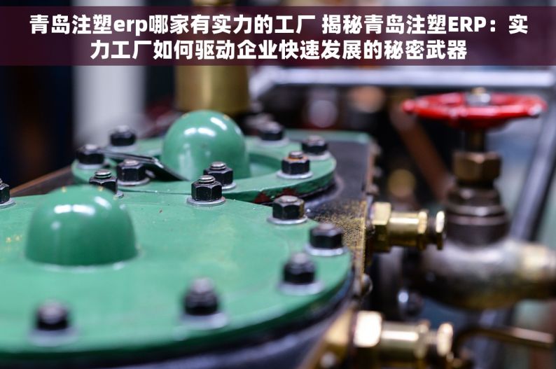 青岛注塑erp哪家有实力的工厂 揭秘青岛注塑ERP：实力工厂如何驱动企业快速发展的秘密武器