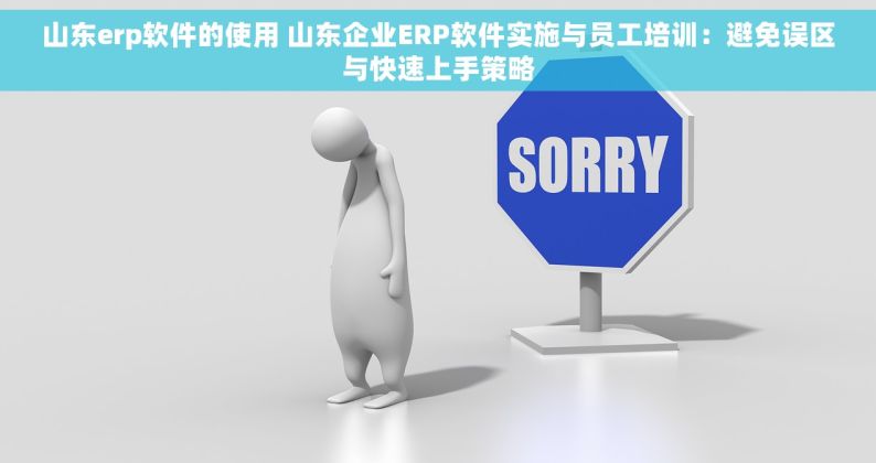 山东erp软件的使用 山东企业ERP软件实施与员工培训：避免误区与快速上手策略