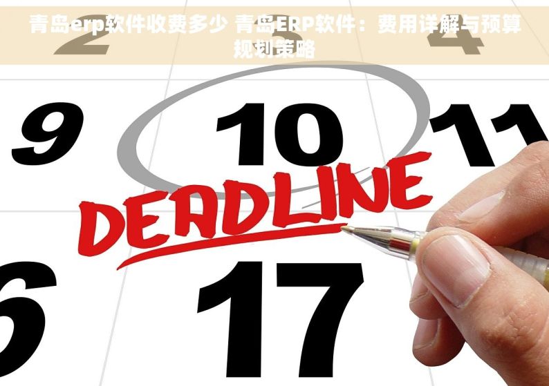 青岛erp软件收费多少 青岛ERP软件：费用详解与预算规划策略