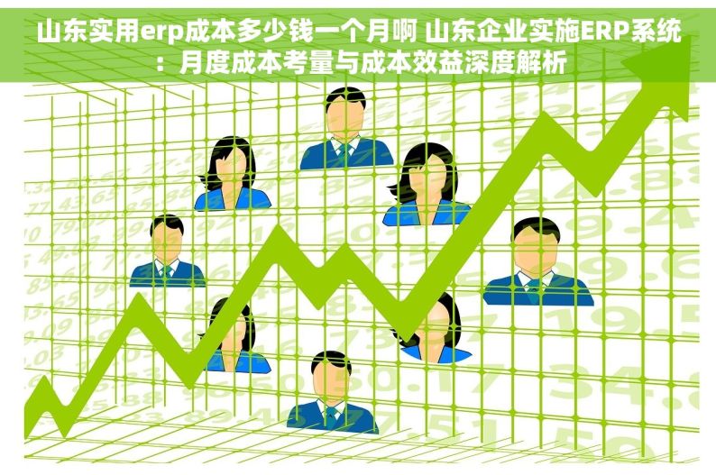 山东实用erp成本多少钱一个月啊 山东企业实施ERP系统：月度成本考量与成本效益深度解析