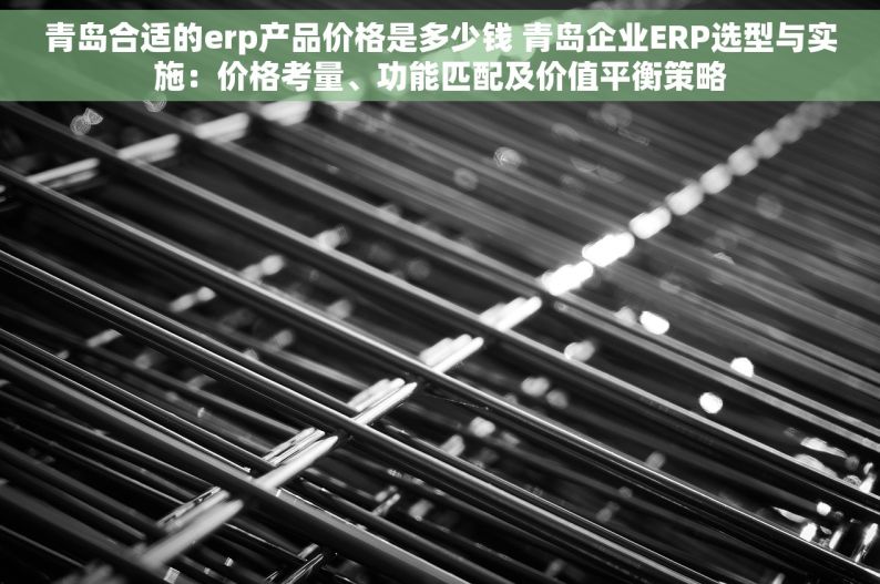 青岛合适的erp产品价格是多少钱 青岛企业ERP选型与实施：价格考量、功能匹配及价值平衡策略