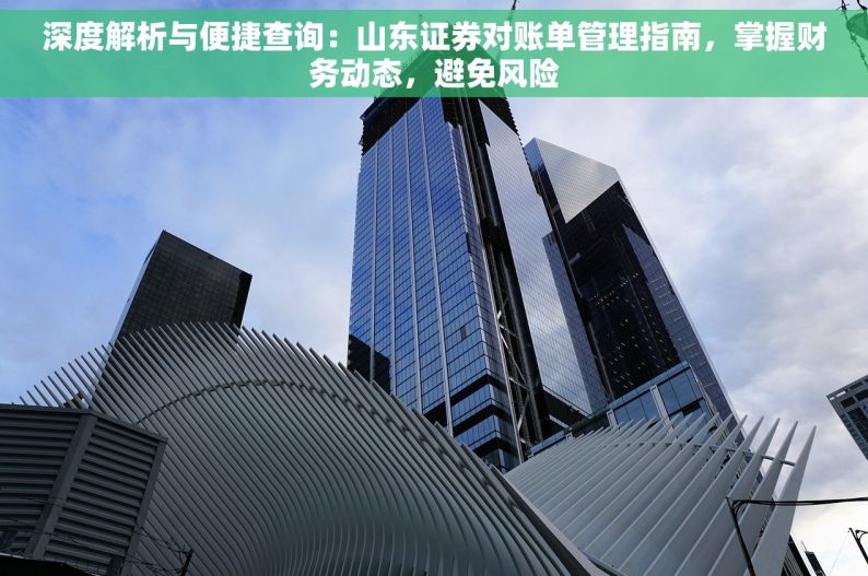 深度解析与便捷查询：山东证券对账单管理指南，掌握财务动态，避免风险