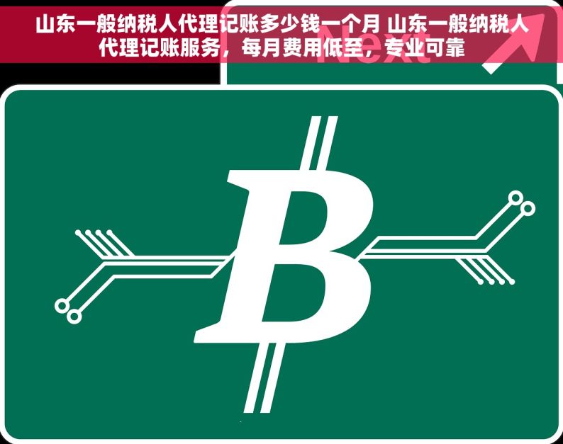 山东一般纳税人代理记账多少钱一个月 山东一般纳税人代理记账服务，每月费用低至，专业可靠