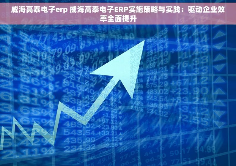 威海高泰电子erp 威海高泰电子ERP实施策略与实践：驱动企业效率全面提升