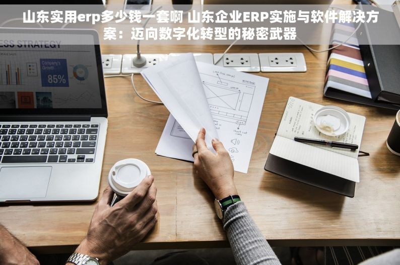 山东实用erp多少钱一套啊 山东企业ERP实施与软件解决方案：迈向数字化转型的秘密武器