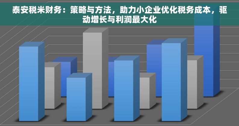 泰安税米财务：策略与方法，助力小企业优化税务成本，驱动增长与利润最大化