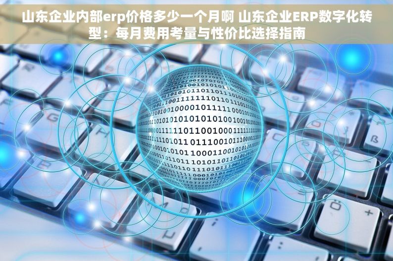 山东企业内部erp价格多少一个月啊 山东企业ERP数字化转型：每月费用考量与性价比选择指南