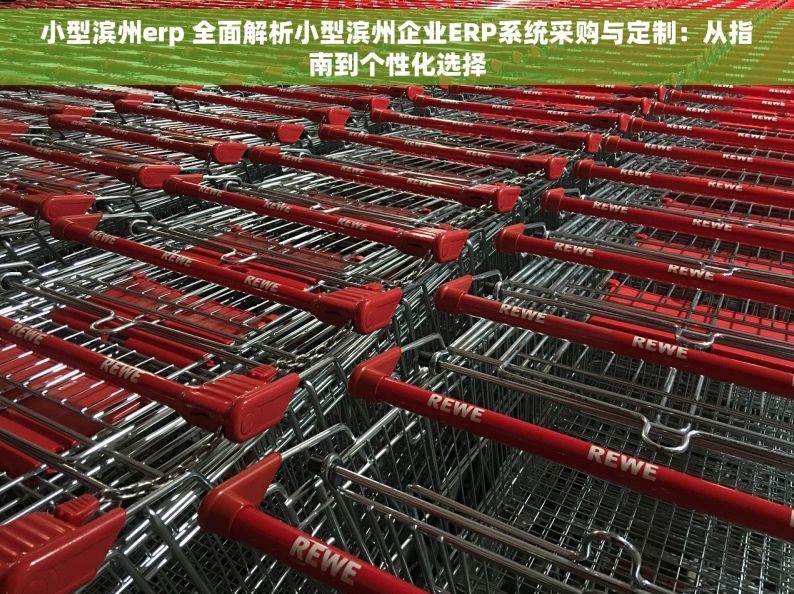 小型滨州erp 全面解析小型滨州企业ERP系统采购与定制：从指南到个性化选择