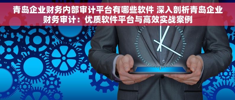 青岛企业财务内部审计平台有哪些软件 深入剖析青岛企业财务审计：优质软件平台与高效实战案例