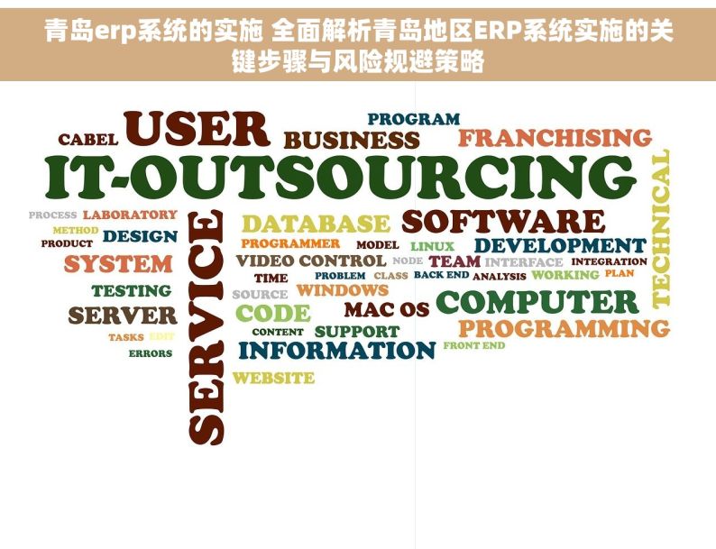 青岛erp系统的实施 全面解析青岛地区ERP系统实施的关键步骤与风险规避策略