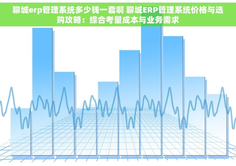 聊城erp管理系统多少钱一套啊 聊城ERP管理系统价格与选购攻略：综合考量成本与业务需求