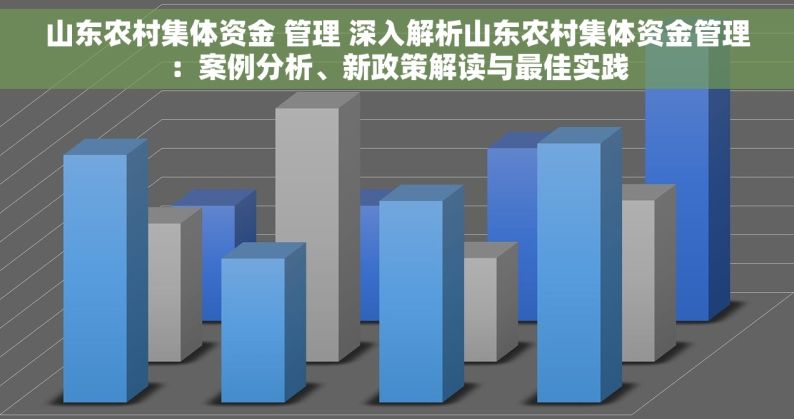 山东农村集体资金 管理 深入解析山东农村集体资金管理：案例分析、新政策解读与最佳实践