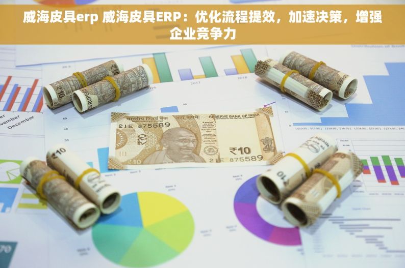 威海皮具erp 威海皮具ERP：优化流程提效，加速决策，增强企业竞争力