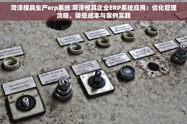 菏泽模具生产erp系统 菏泽模具企业ERP系统应用：优化管理流程，降低成本与案例实践